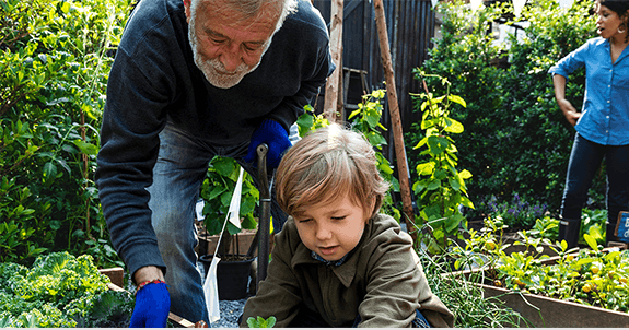 man and grandson working in garden
